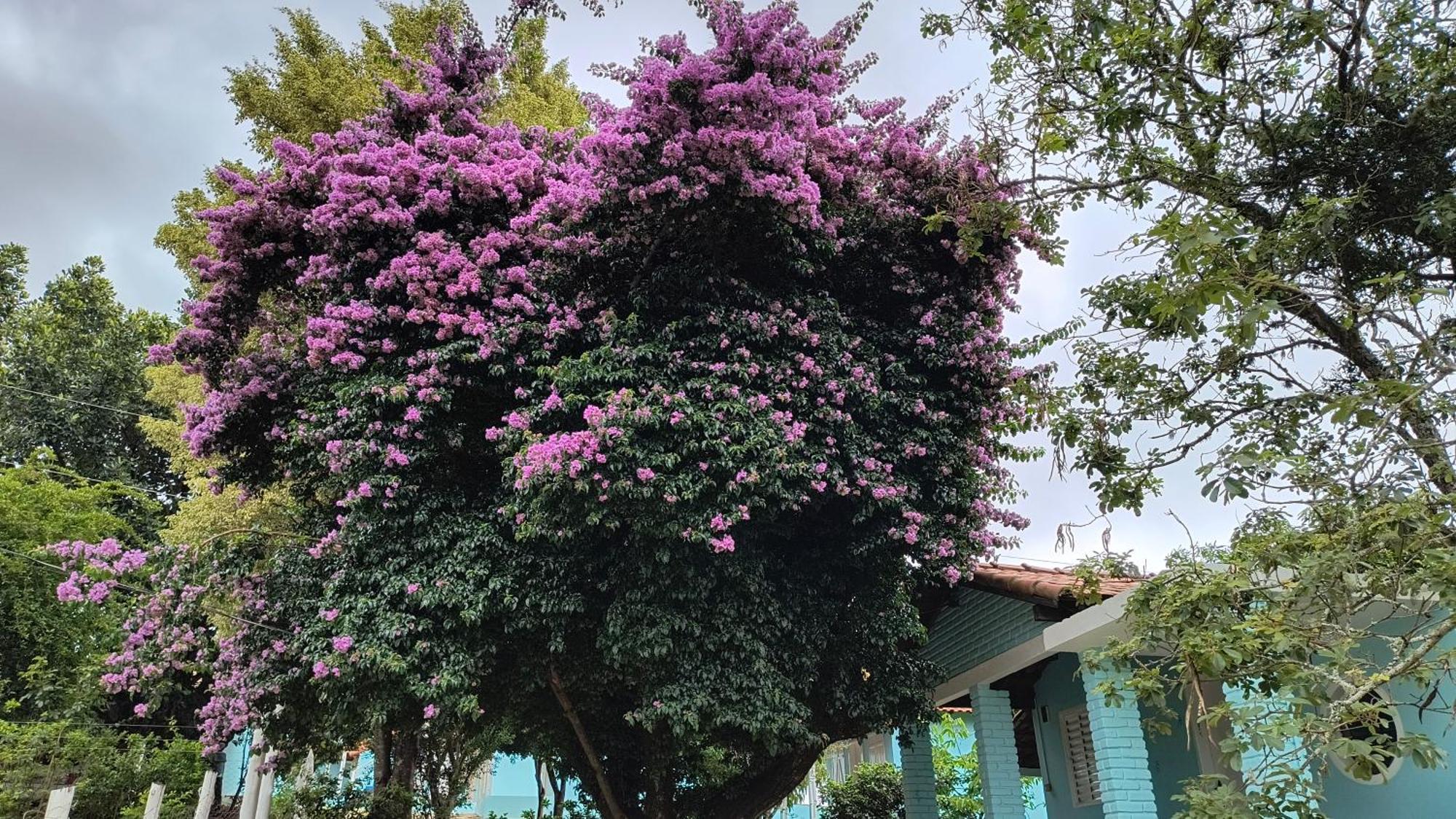 Hotel Pousada Recanto Do Sossego São Tomé das Letras Exterior foto